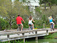 Fitness Trail Bridge