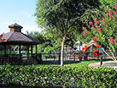 Gazebo and Playground